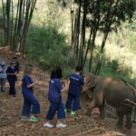 IMG-20240309-WA0042