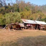 IMG-20240309-WA0229