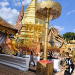 IMG_20260215_163813