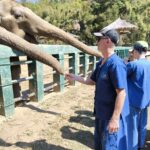 IMG_20260216_115657